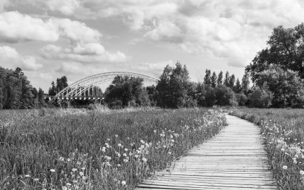 Chapman Mills Conservation Area in Ottawa, Canada -  a landscape photo