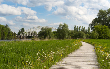 Boardwalk to Vimy Memorial Bridge in Ottawa, Canada -  a landscape photo